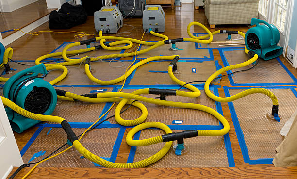 Professional Sewage Cleanup technician working in Cathedral City, CA